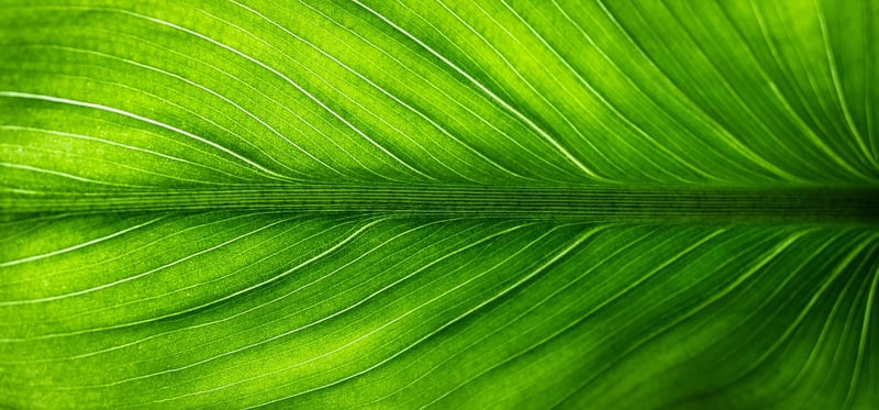 Eco-Friendly Kids Art